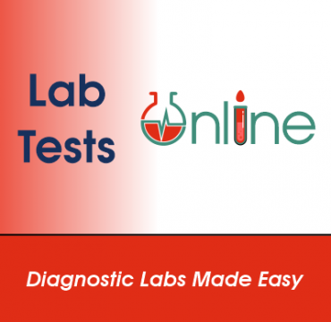 Lab